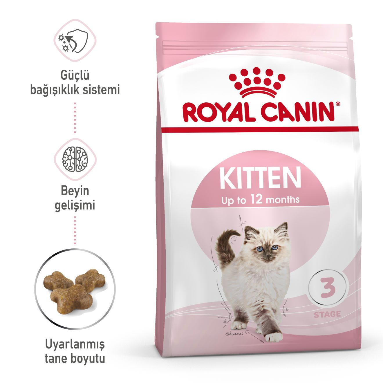 Kitten Yavru Kedi Kuru Maması