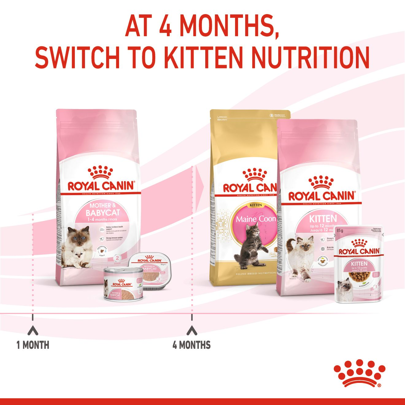 Mother & Babycat Dry Cat Food Royal Canin US