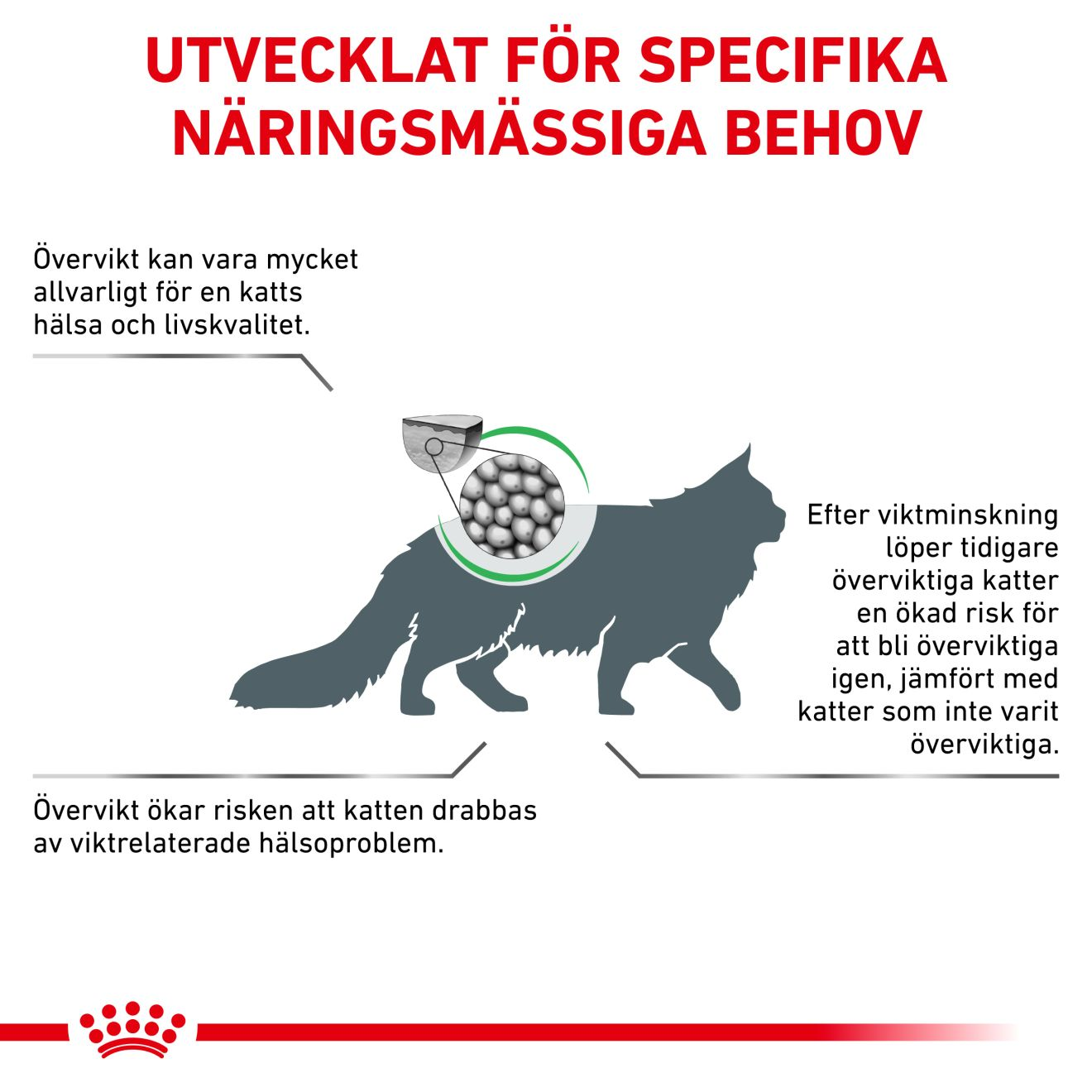 Weight Management Satiety 