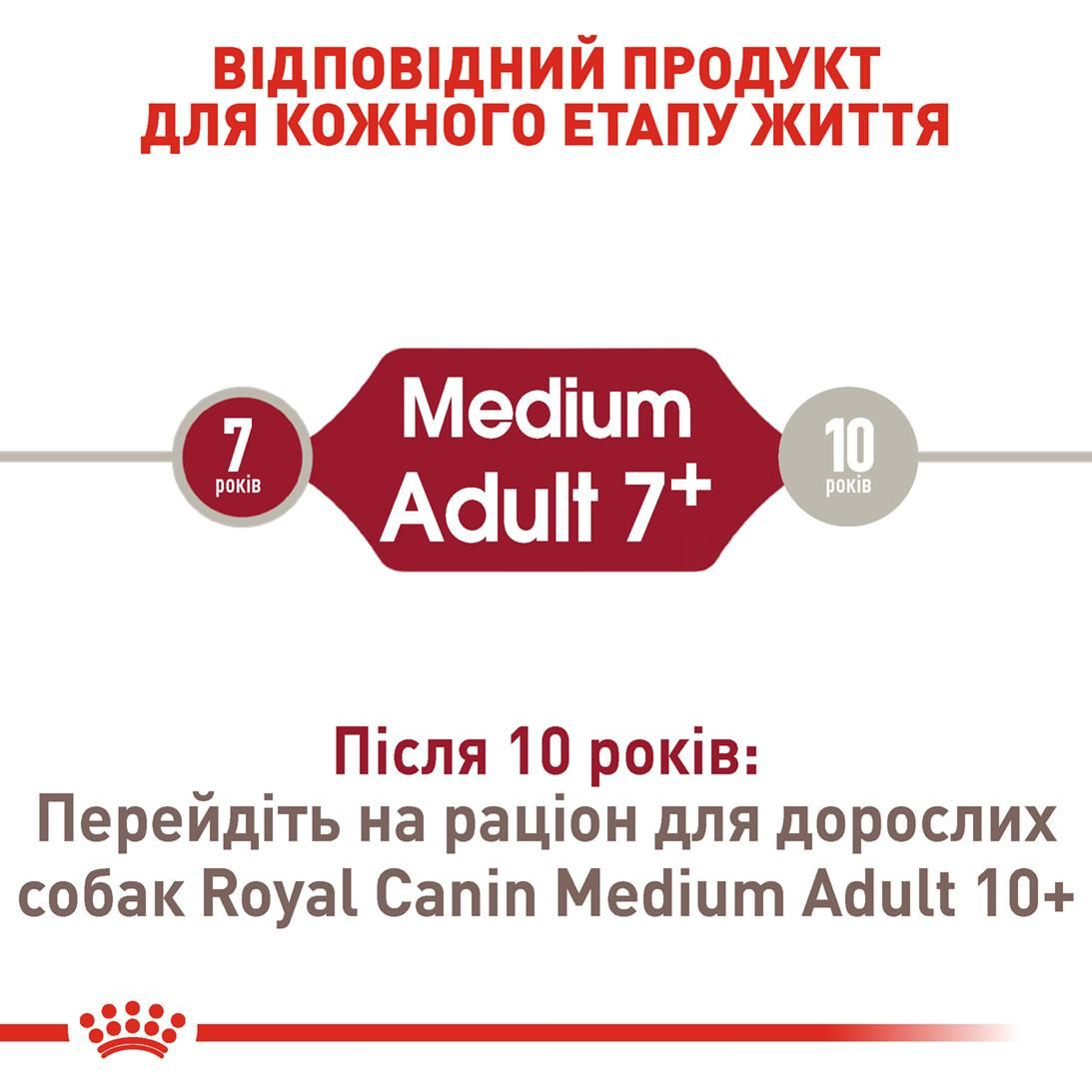 Medium Adult 7+