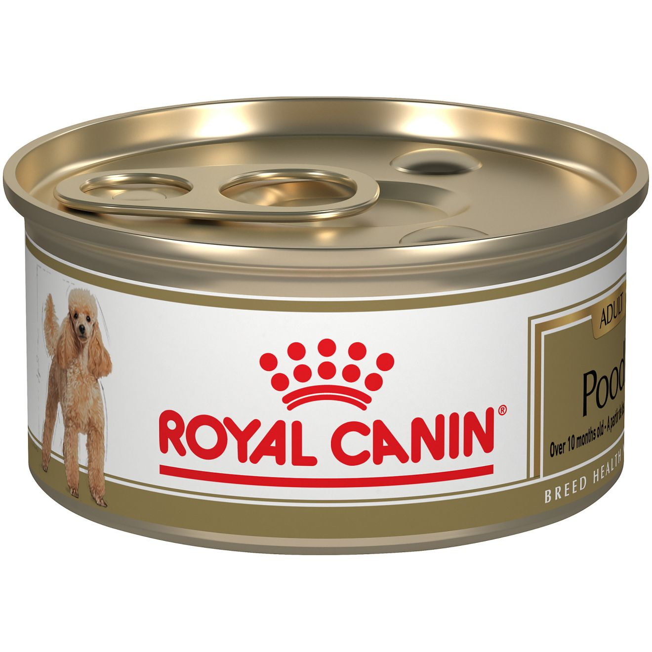 Royal canin poodle adult dry store dog food