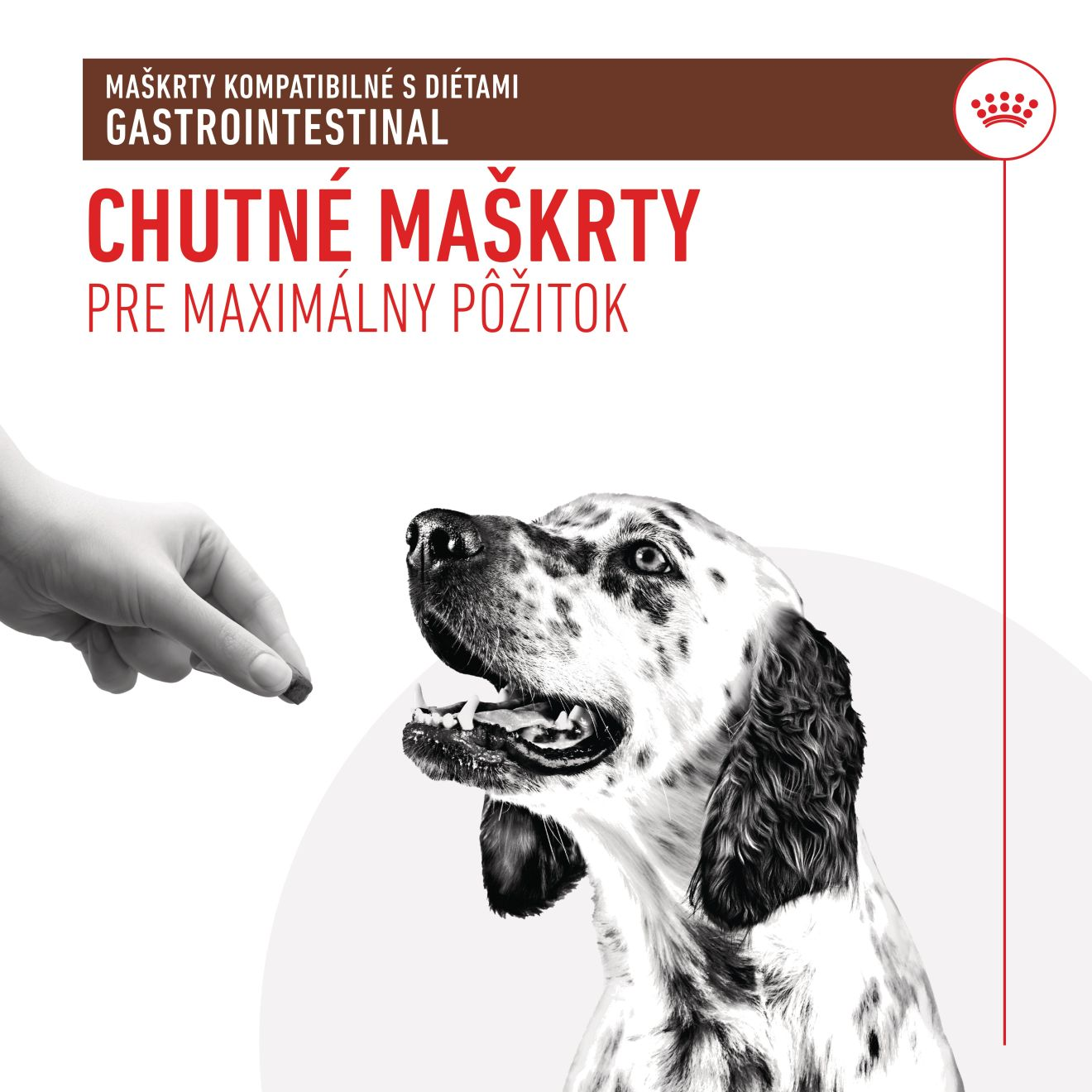 VHN Dog Gastrointestinal Treats