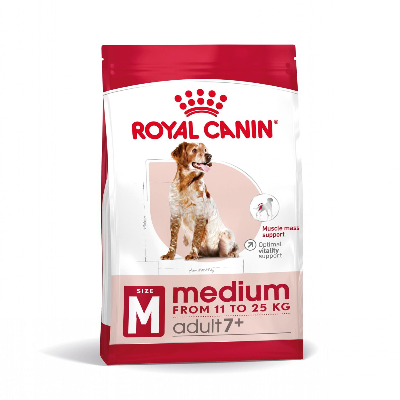MEDIUM ADULT