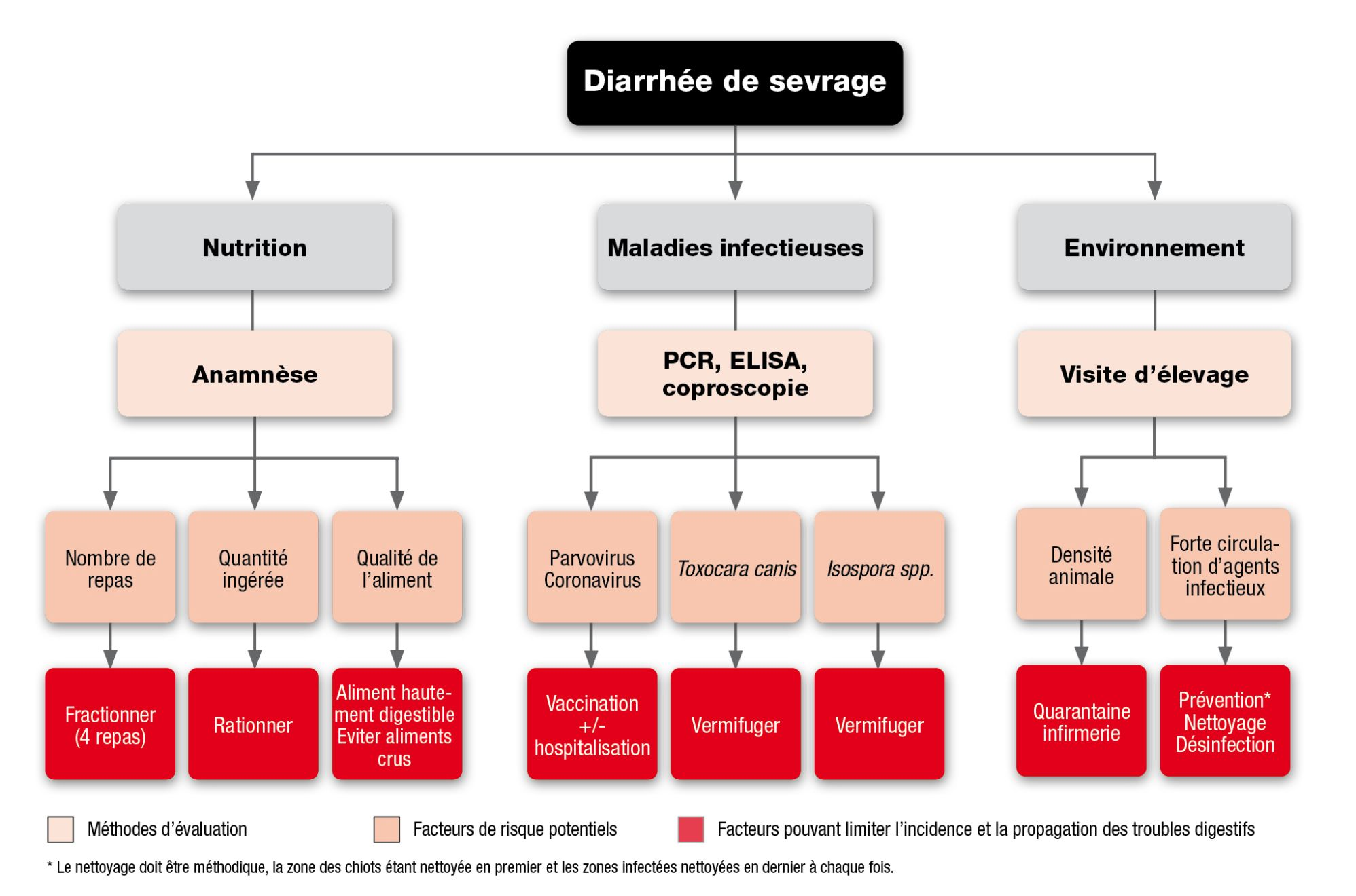 Figure 3. Evaluation et gestion des diarrhes de sevrage chez le chiot.
