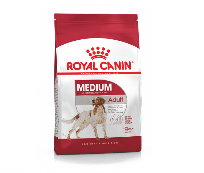 French Spaniel adult standing next to a medium product pack