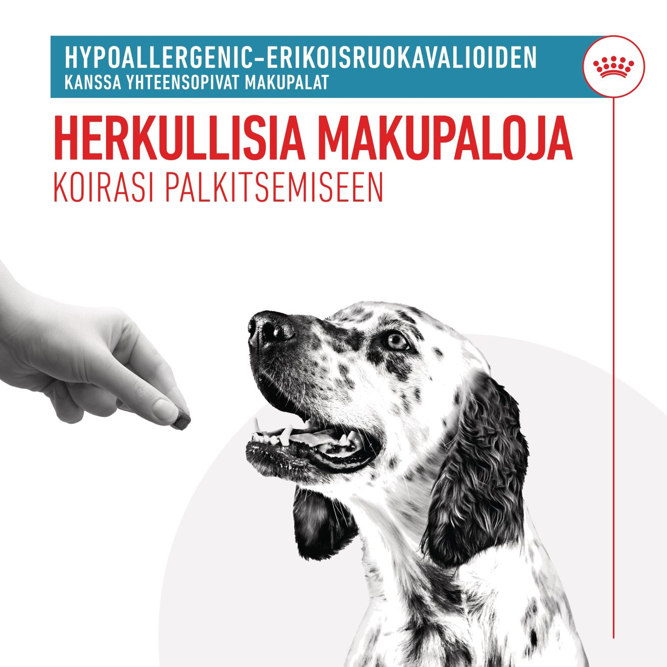 Hypoallergenic Treats