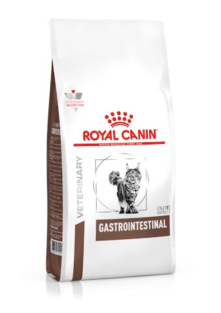 Cat Gastrointestinal