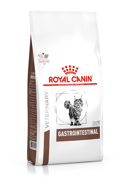 Royal canin gi on sale high energy cat