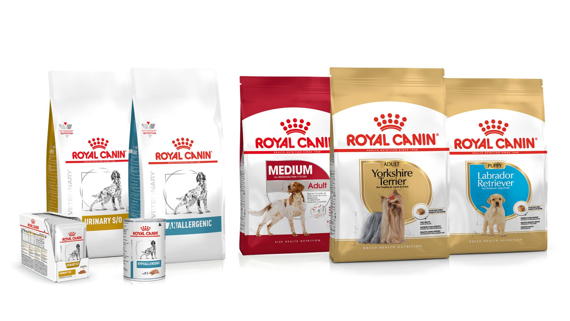Mehrere Packungen mit verschiedenen ROYAL CANIN Nahrungen für Hunde.