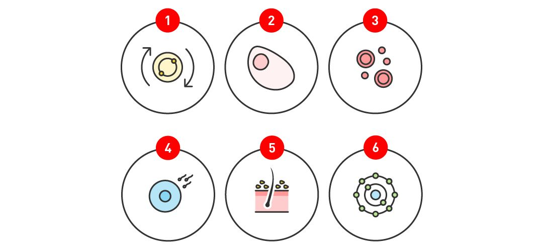 6 illustrations montrant les bienfaits des vitamines