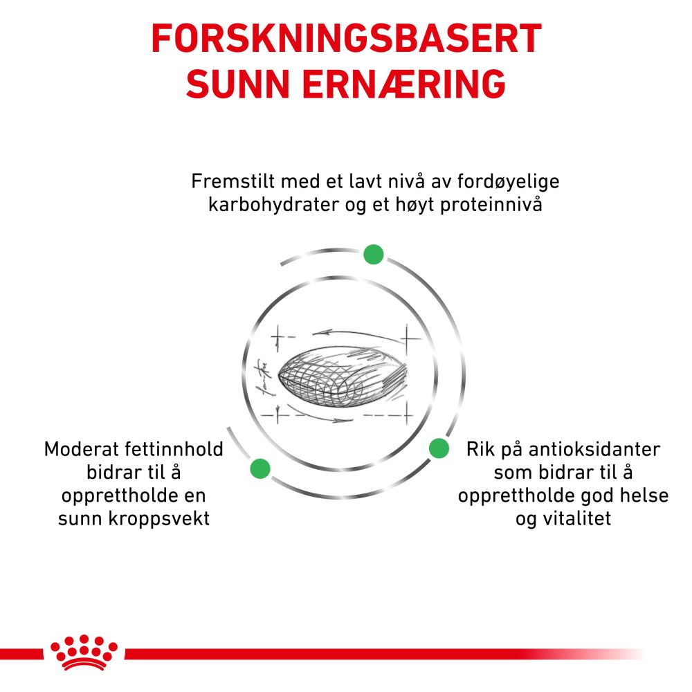 Weight Management Diabetic