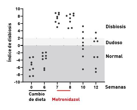 Efecto del cambio de dieta y del metronidazol sobre el microbioma intestinal en perros sanos 