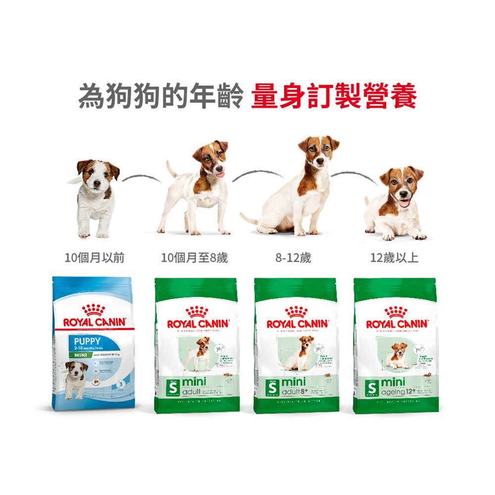 SHN 小型成犬營養配方