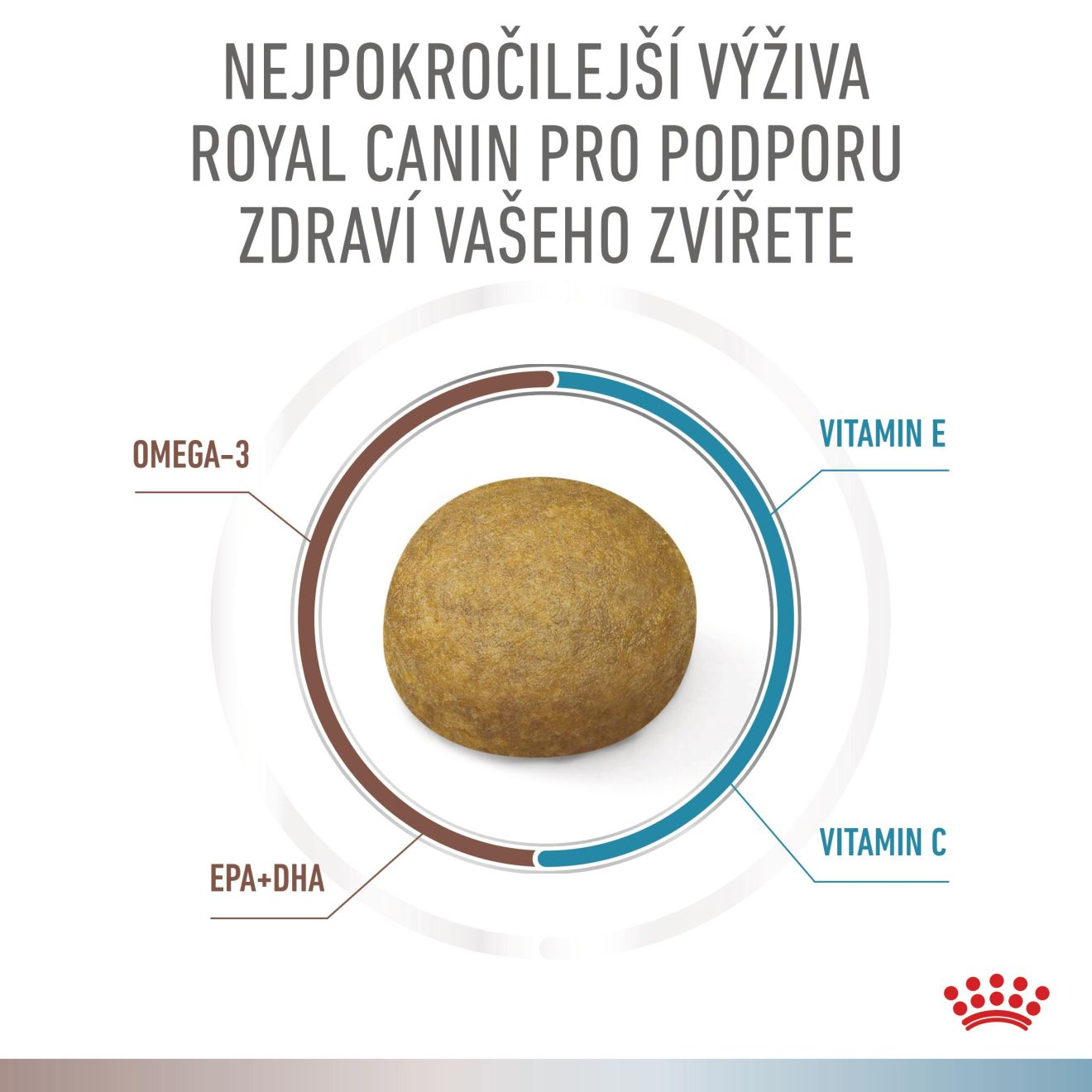 VHN Dog CA Gastrointestinal Low Fat-Hypoallergenic