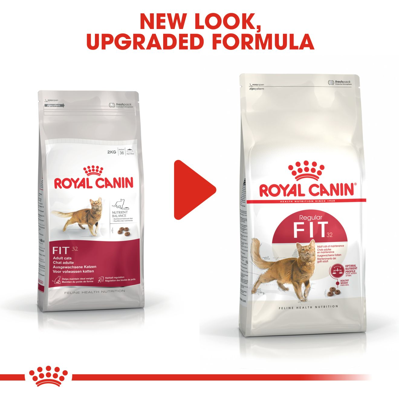 Royal canin 2024 maintenance cat food