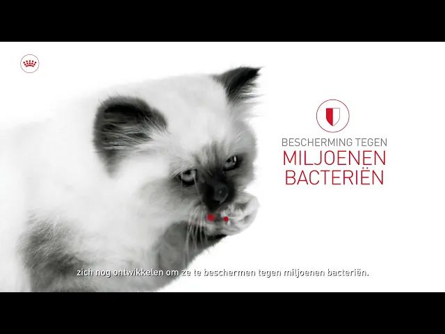 start-of-life-immunity nl