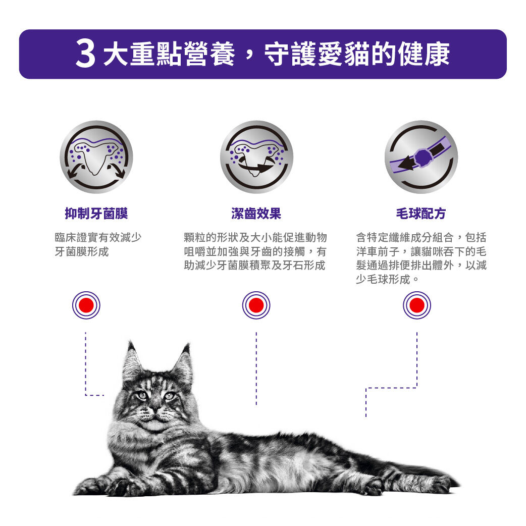 成貓牙齒護理健康管理配方