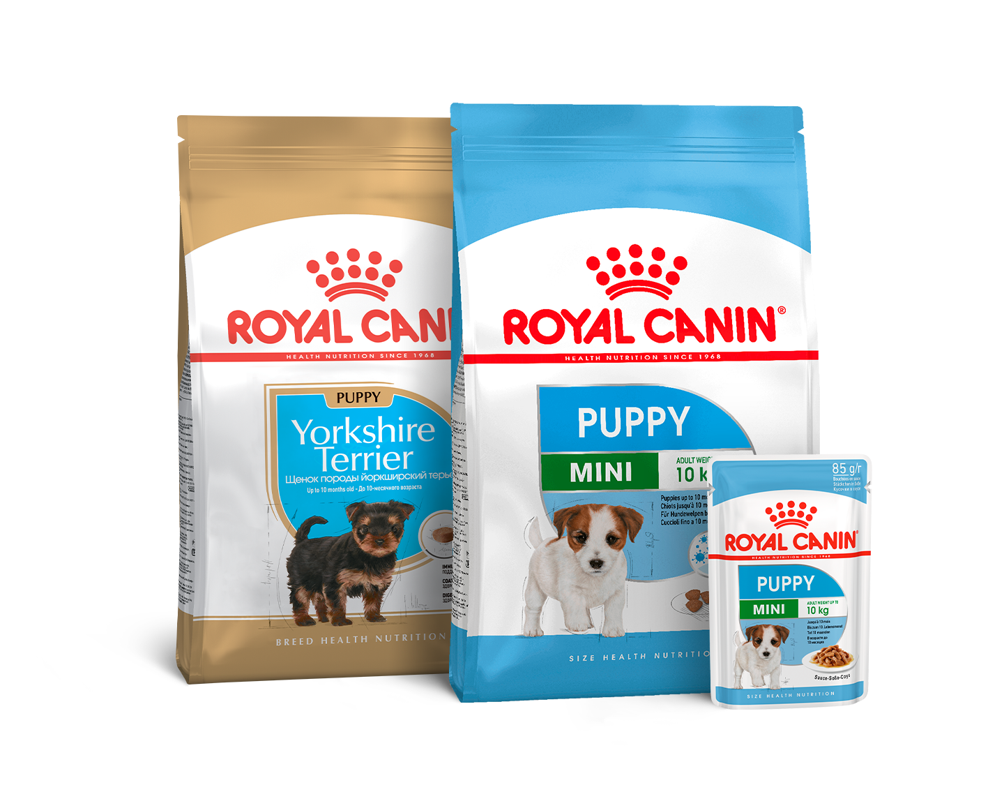 Рацион и кормление щенков - как выбрать корм для щенка | Royal Canin