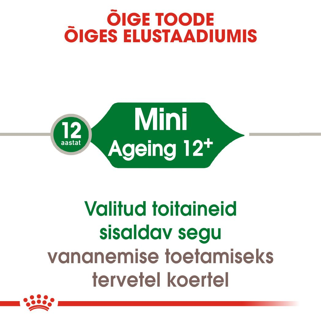 Royal Canin Mini Adult 12+ kuivtoit