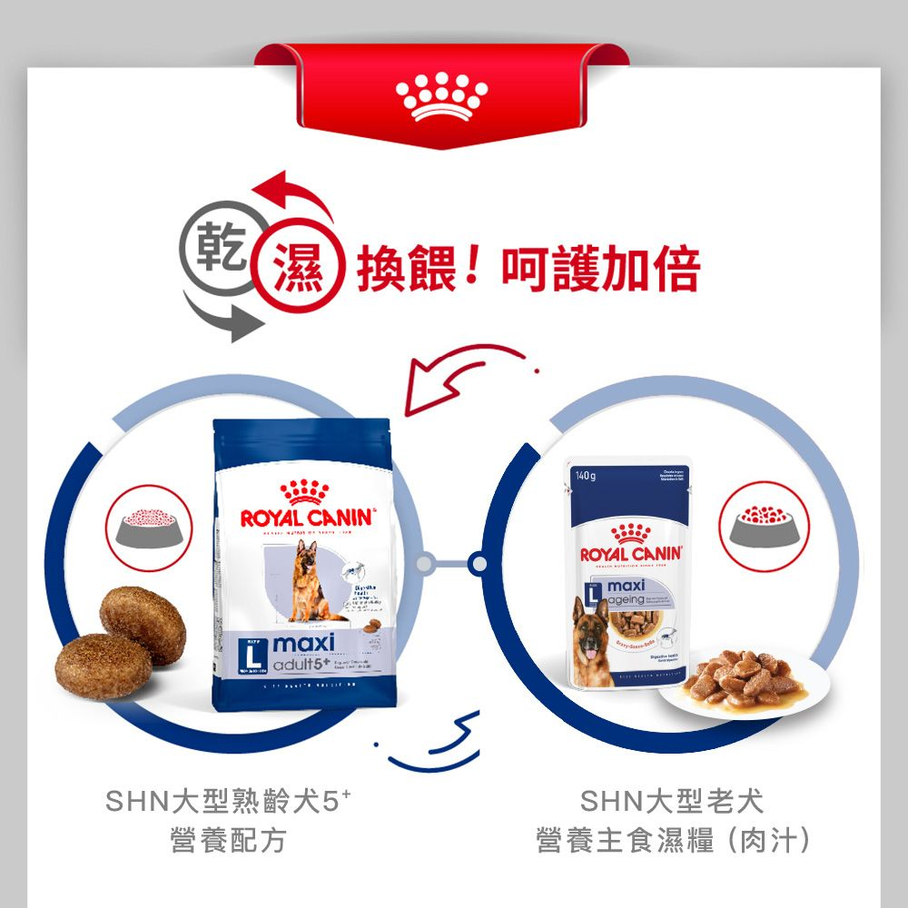 SHN 大型熟齡犬5+營養配方