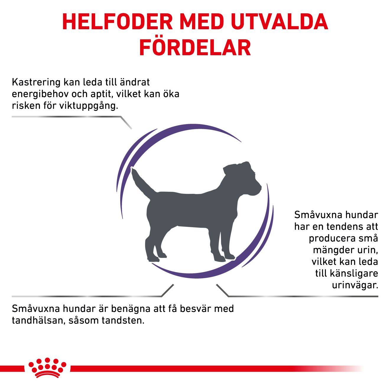 Health Neutered Adult Small Dog