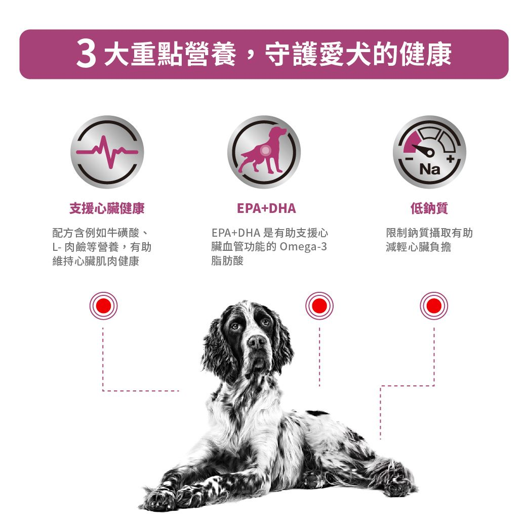 成犬心臟處方罐頭