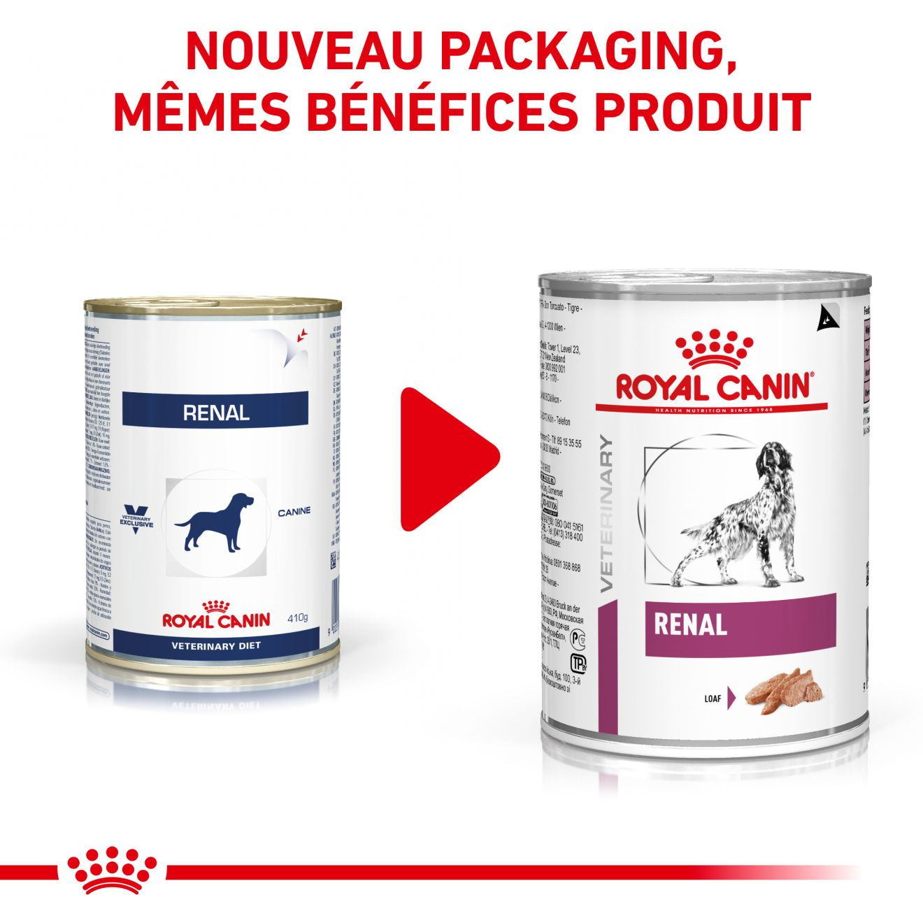 Renal Mousse pour chiens