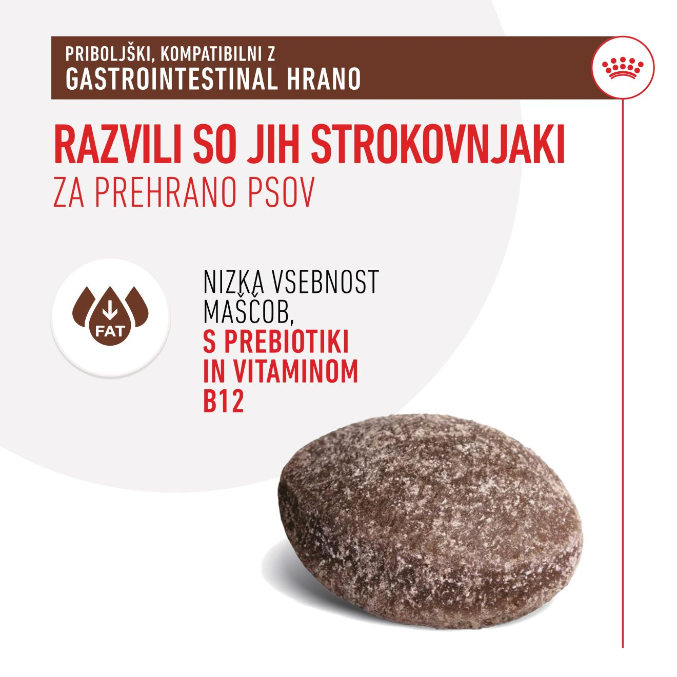 TREATS COMPATIBLE WITH GASTROINTESTINAL DIETS​