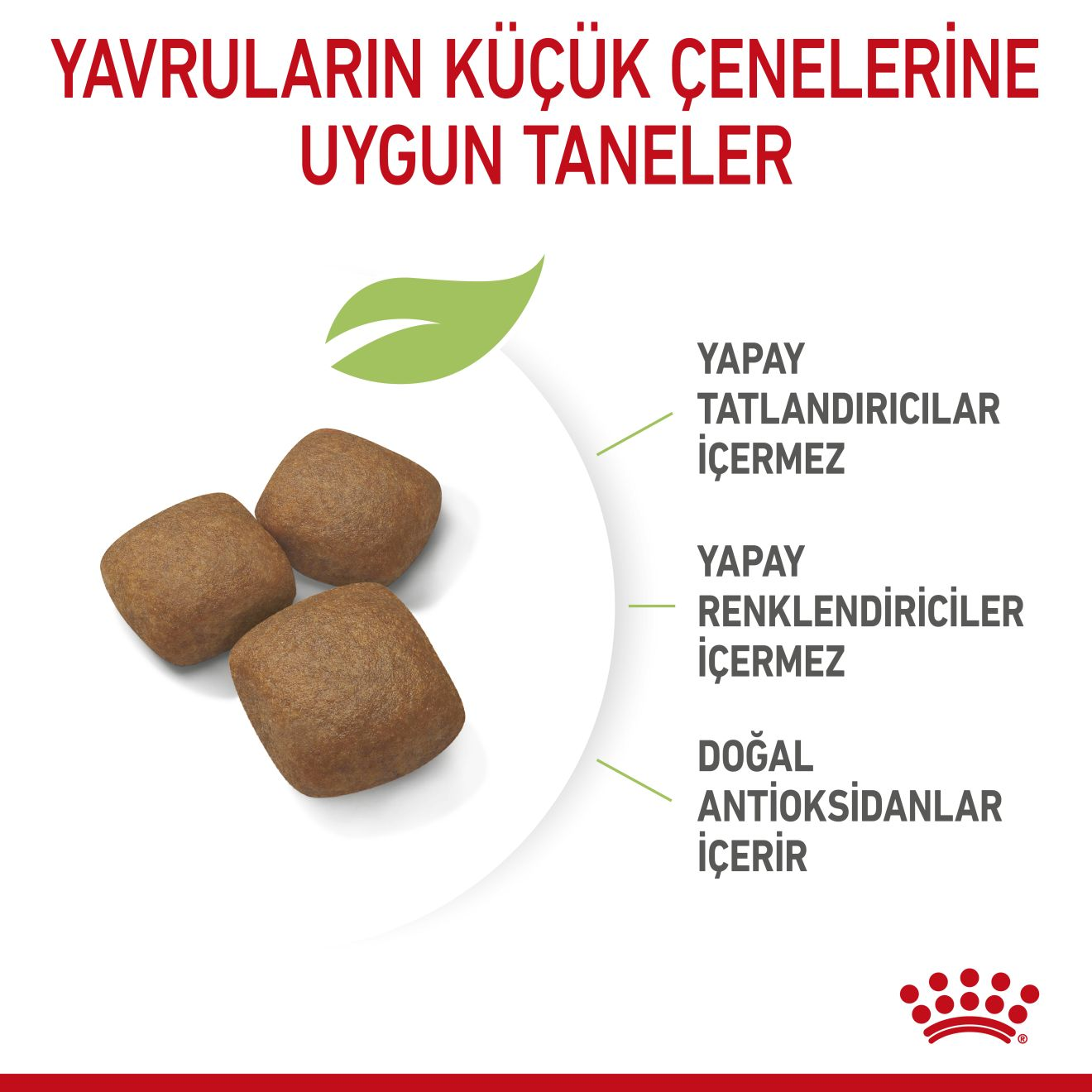 Giant Junior Yavru Köpek Kuru Maması