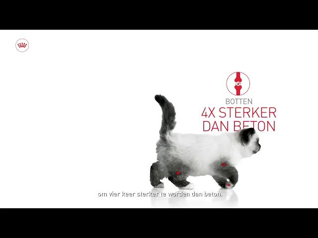 start-of-life-growth nl