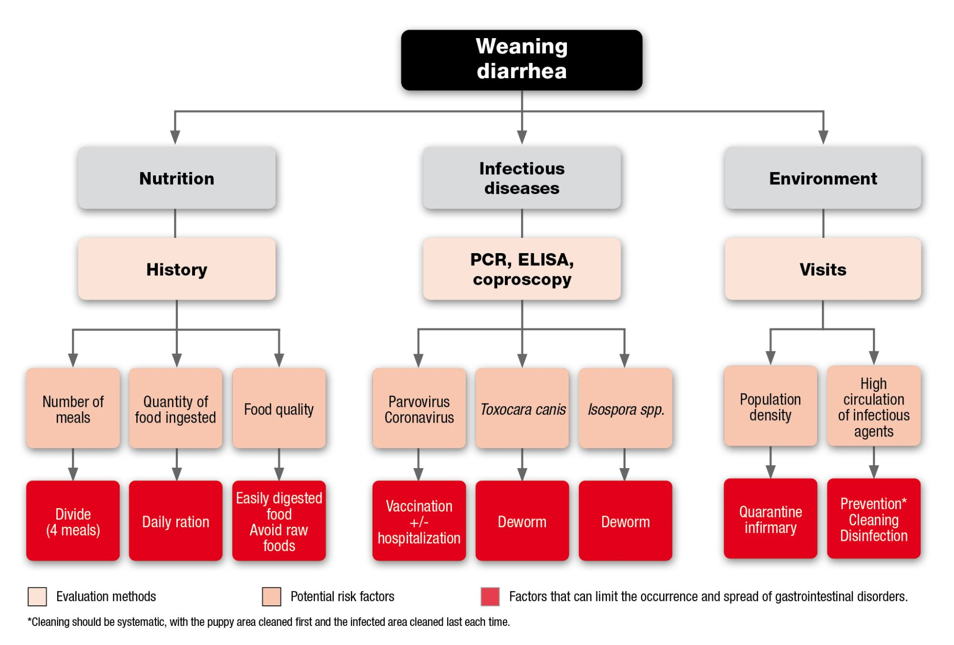 Figure 3. Evaluation and management of weaning diarrhea in puppies.