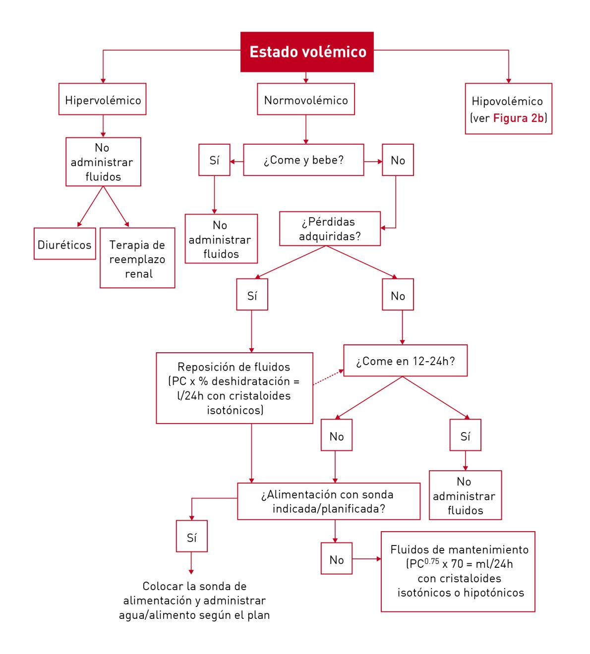 Diagrama de flujo detallado útil para la toma de decisiones sobre fluidoterapia en gatos