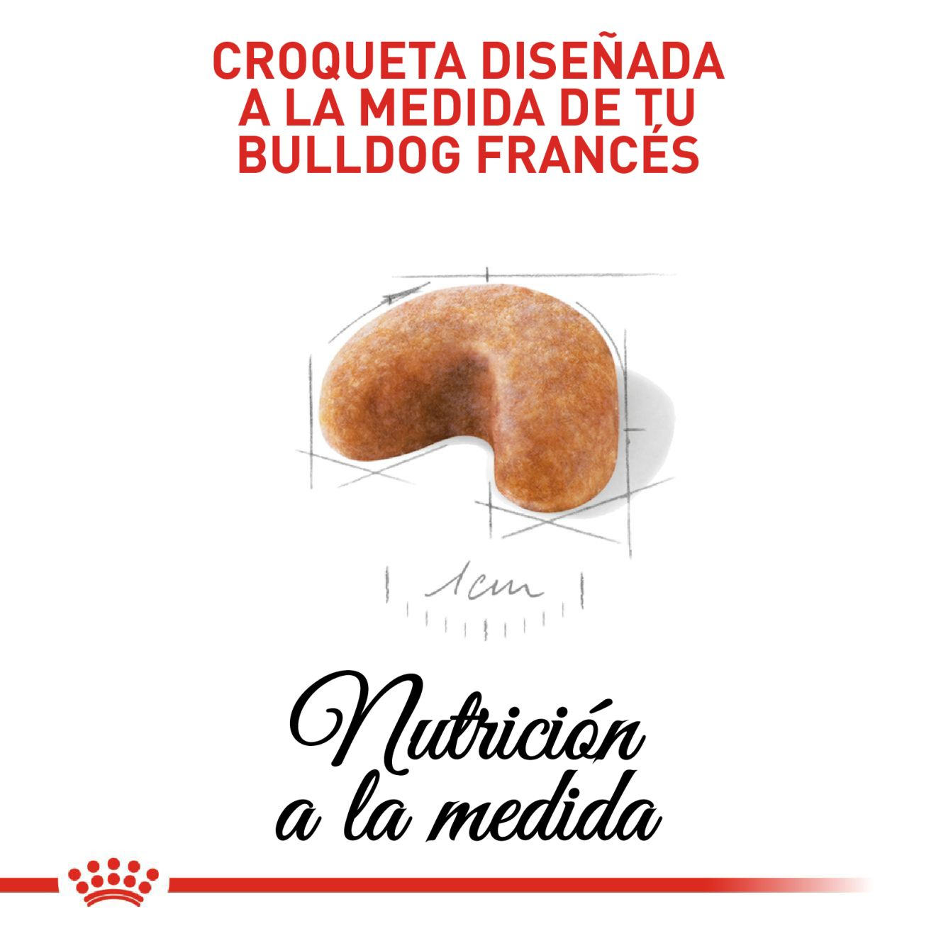 French Bulldog Cachorro