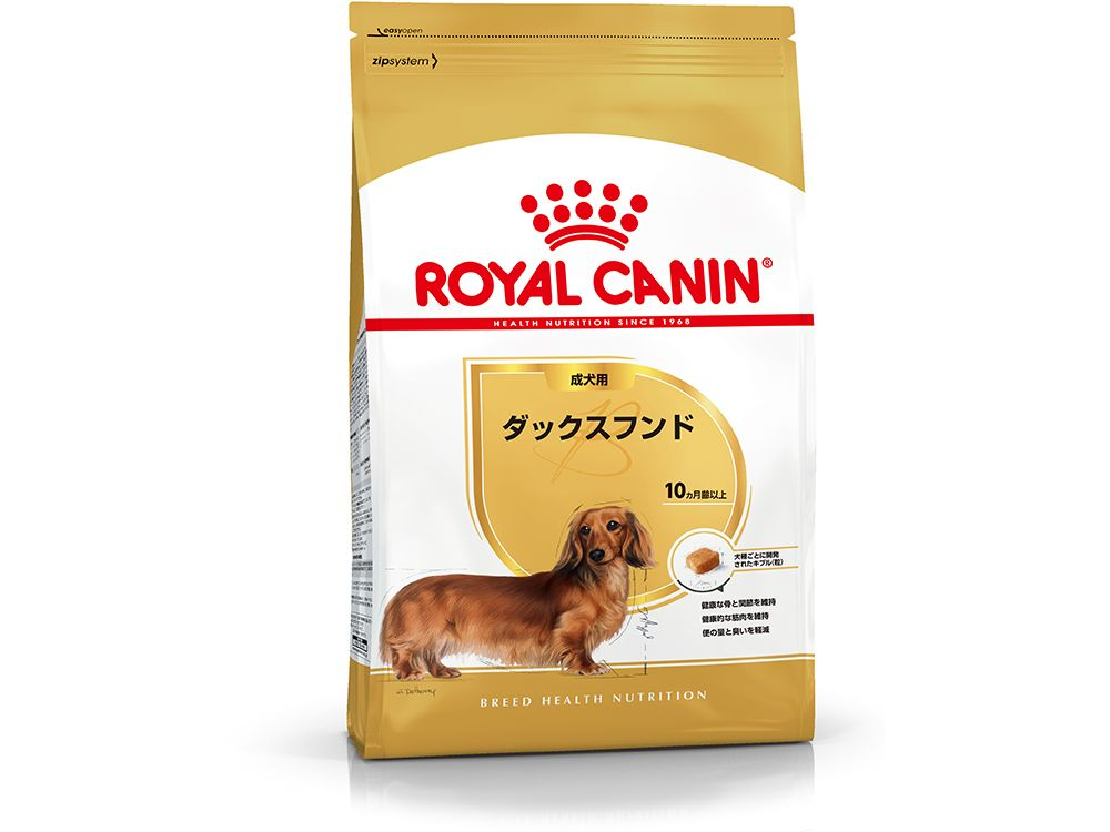 ダックスフンド 成犬用 | Royal Canin JP