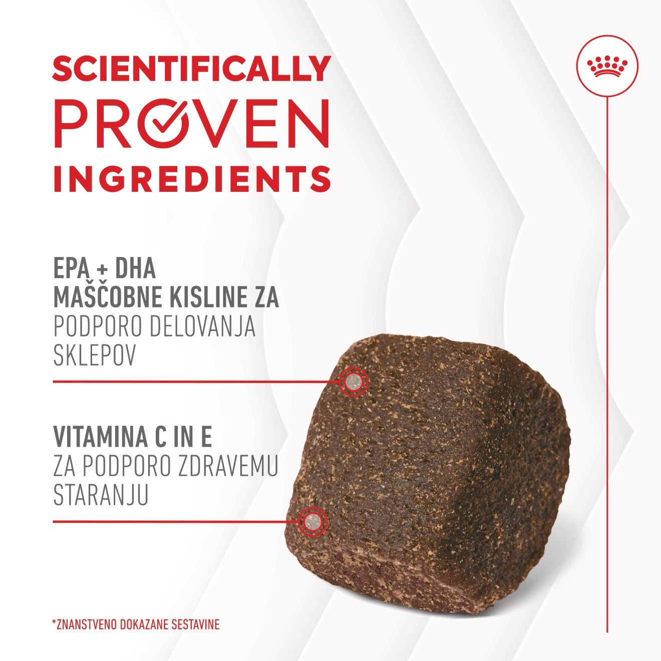 JOINT & AGEING CHEWS