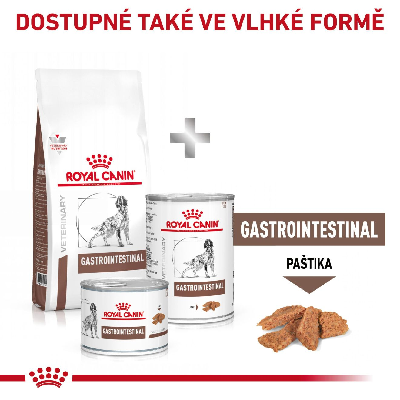 VHN Dog Gastrointestinal