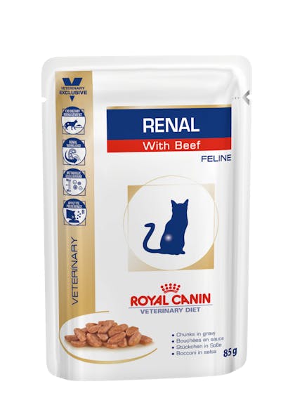 Royal canin renal sales wet dog food