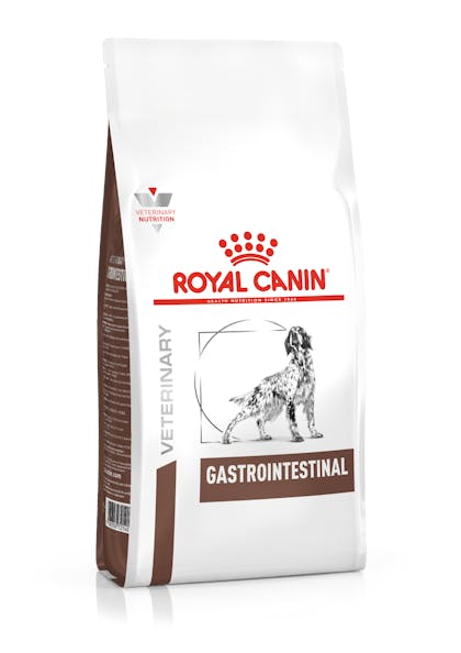 Gastrointestinal Dry Royal Canin