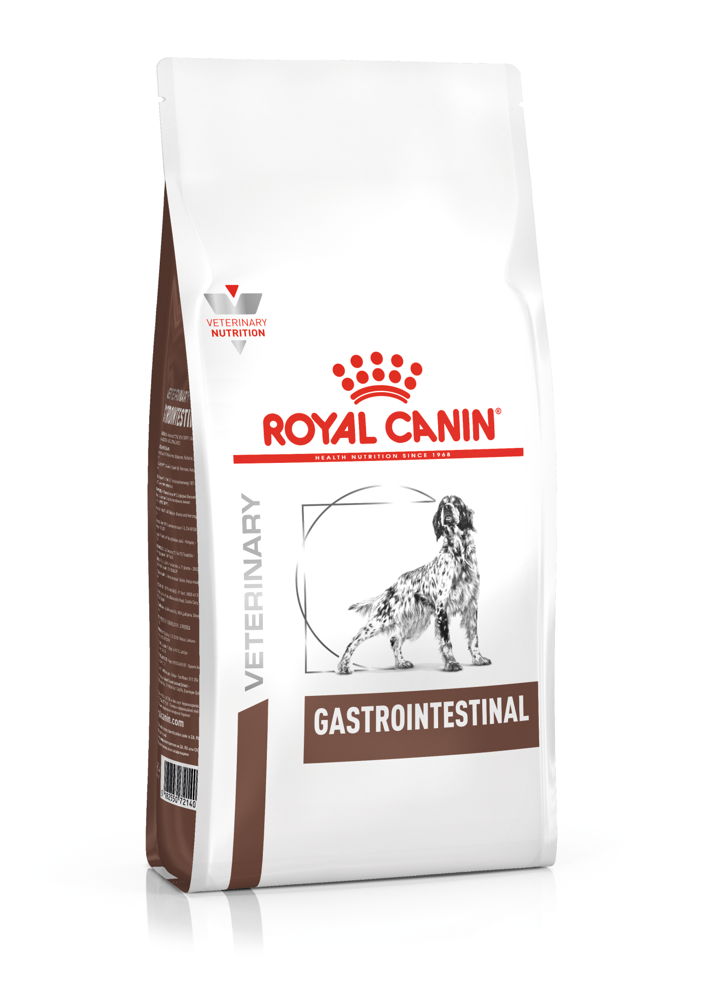 Gastrointestinal Perro