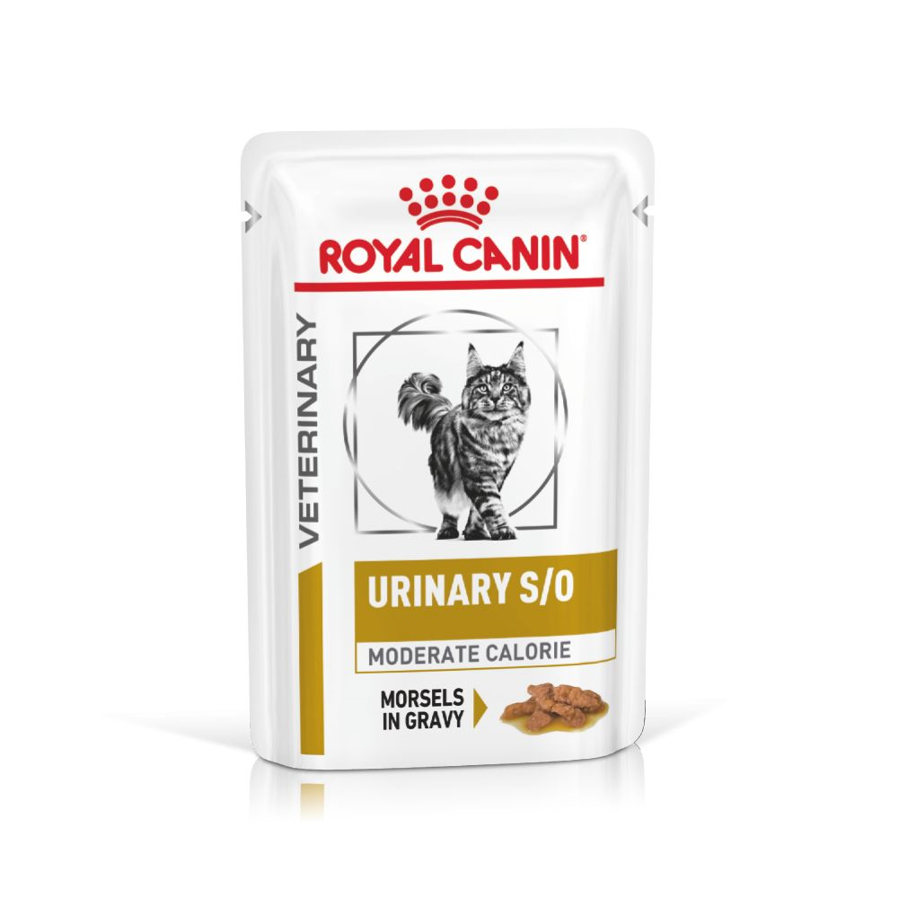 Urinary S O Moderate Calorie Wet Royal Canin