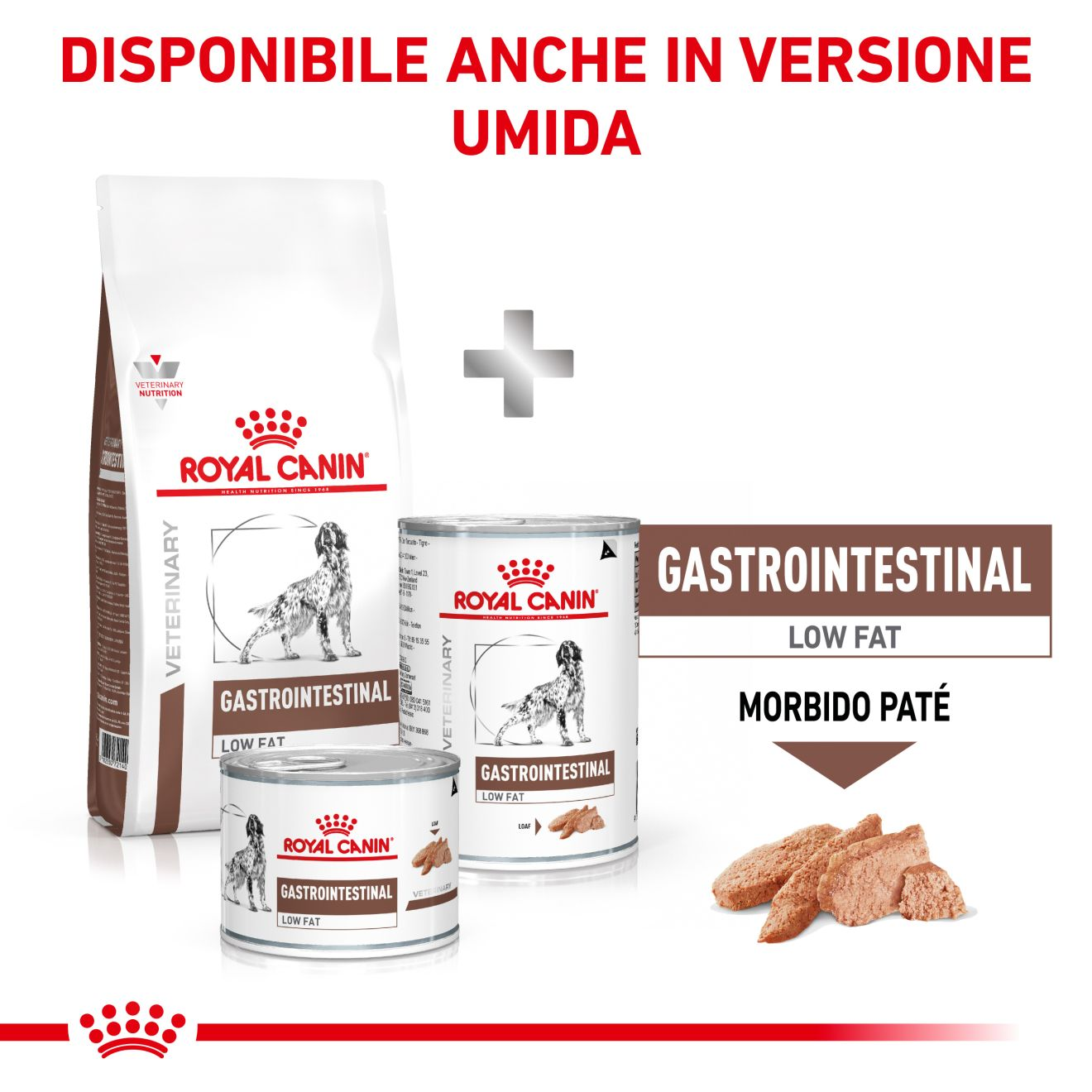 Gastrointestinal Low Fat Royal Canin IT
