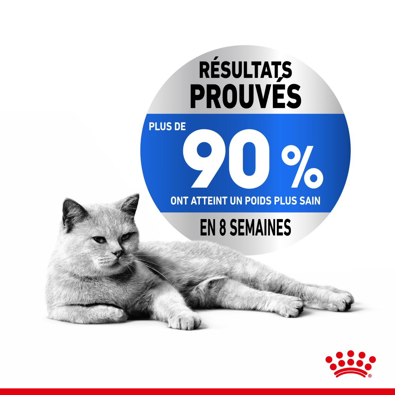 Light Weight Care Aliment Sec Royal Canin