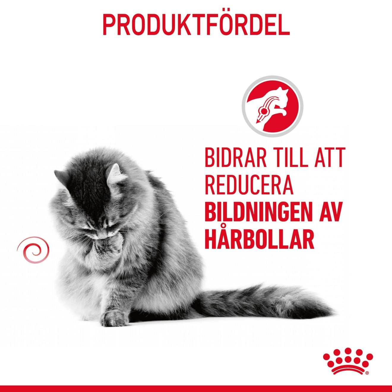 Hairball Care Gravy Adult 