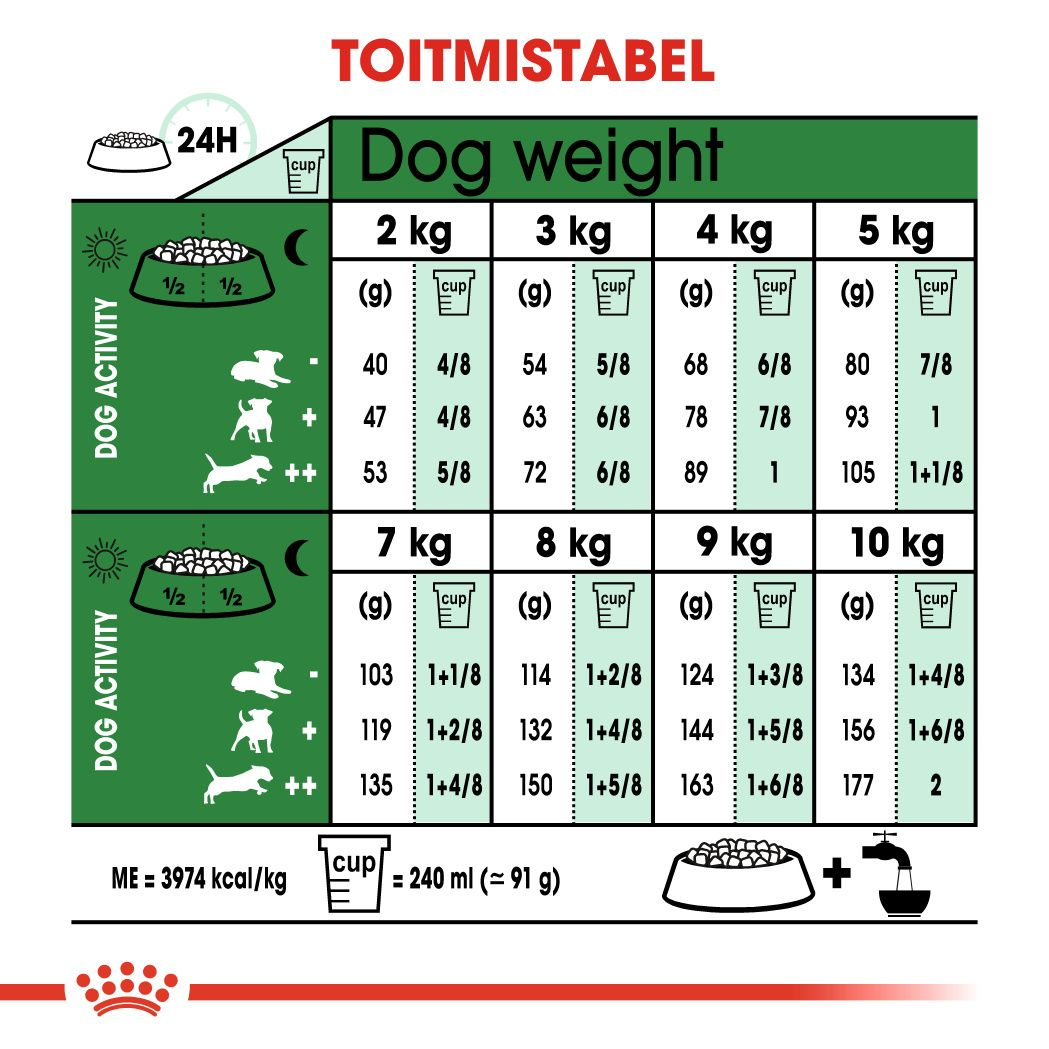 Royal Canin Mini Adult 8+ kuivtoit