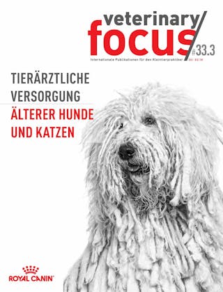 Tierärztliche Versorgung älterer Hunde und Katzen