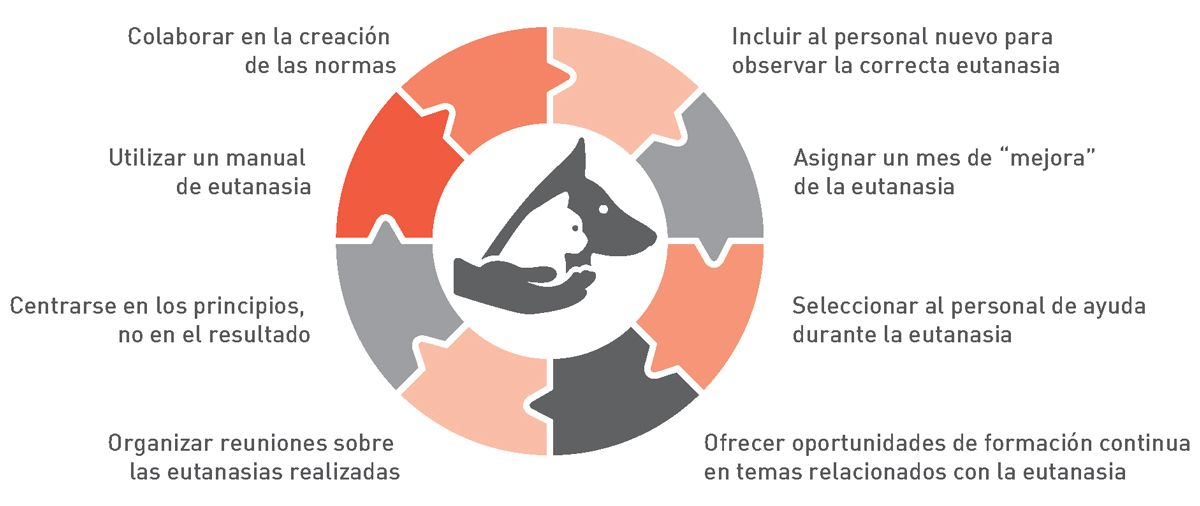 Medidas de apoyo para el equipo