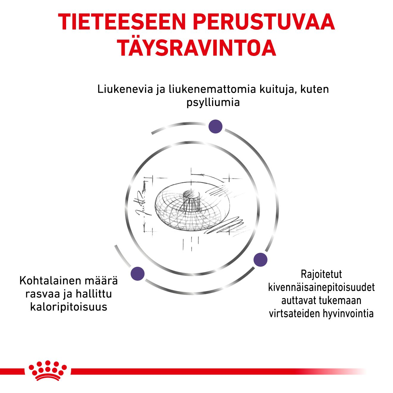 Health Neutered Adult Small Dog