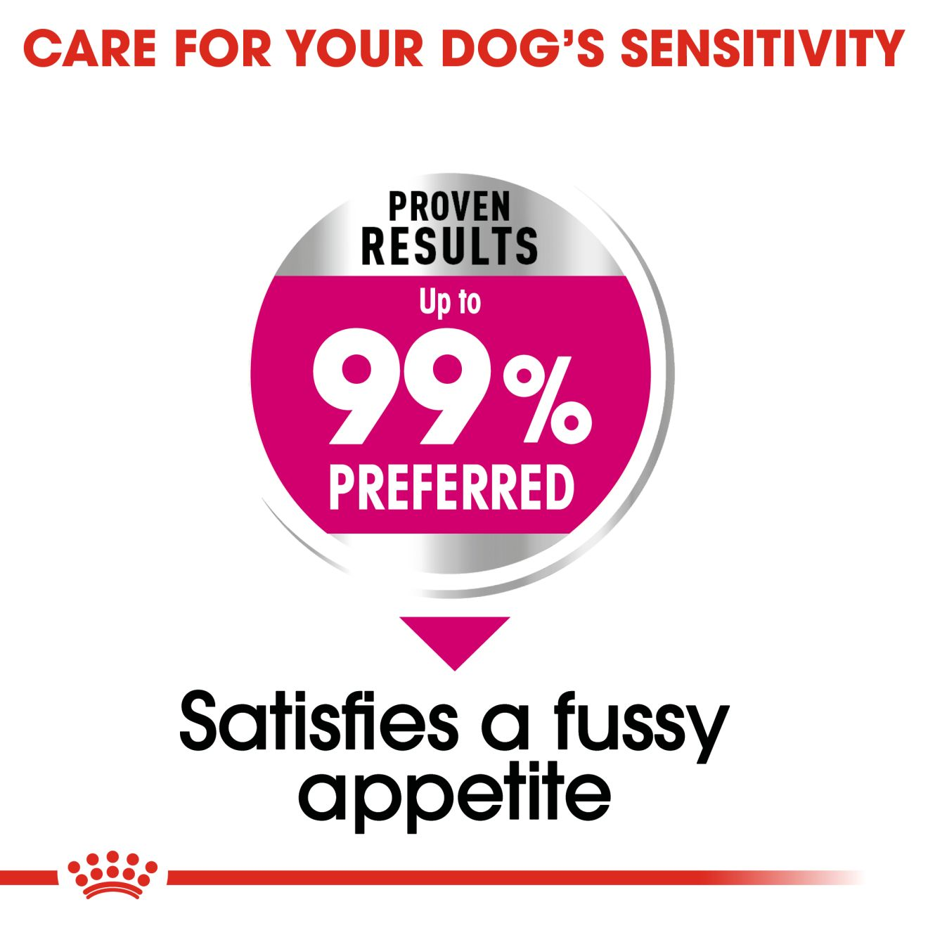 Royal canin best sale mini exigent