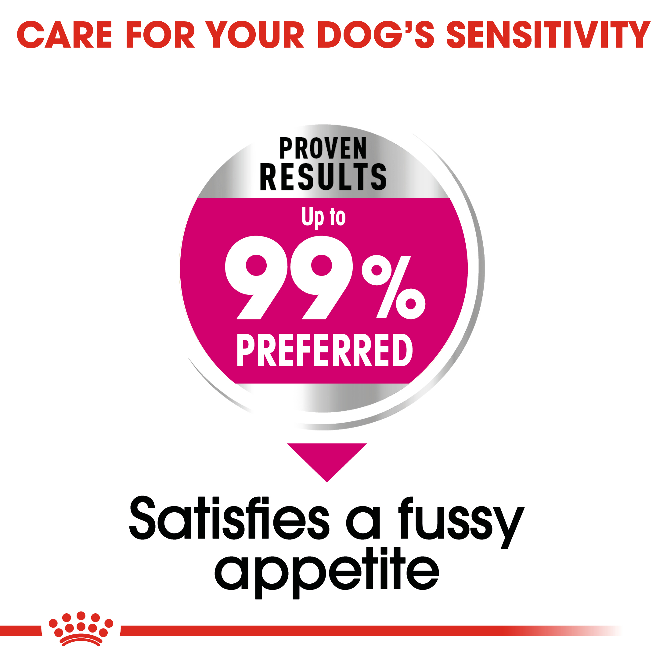 royal canin exigent small dogs
