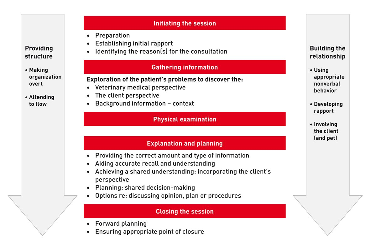 Basic communication framework with an example of some of the process skills necessary for each aspect of the consultation (adapted from Calgary-Cambridge guide).